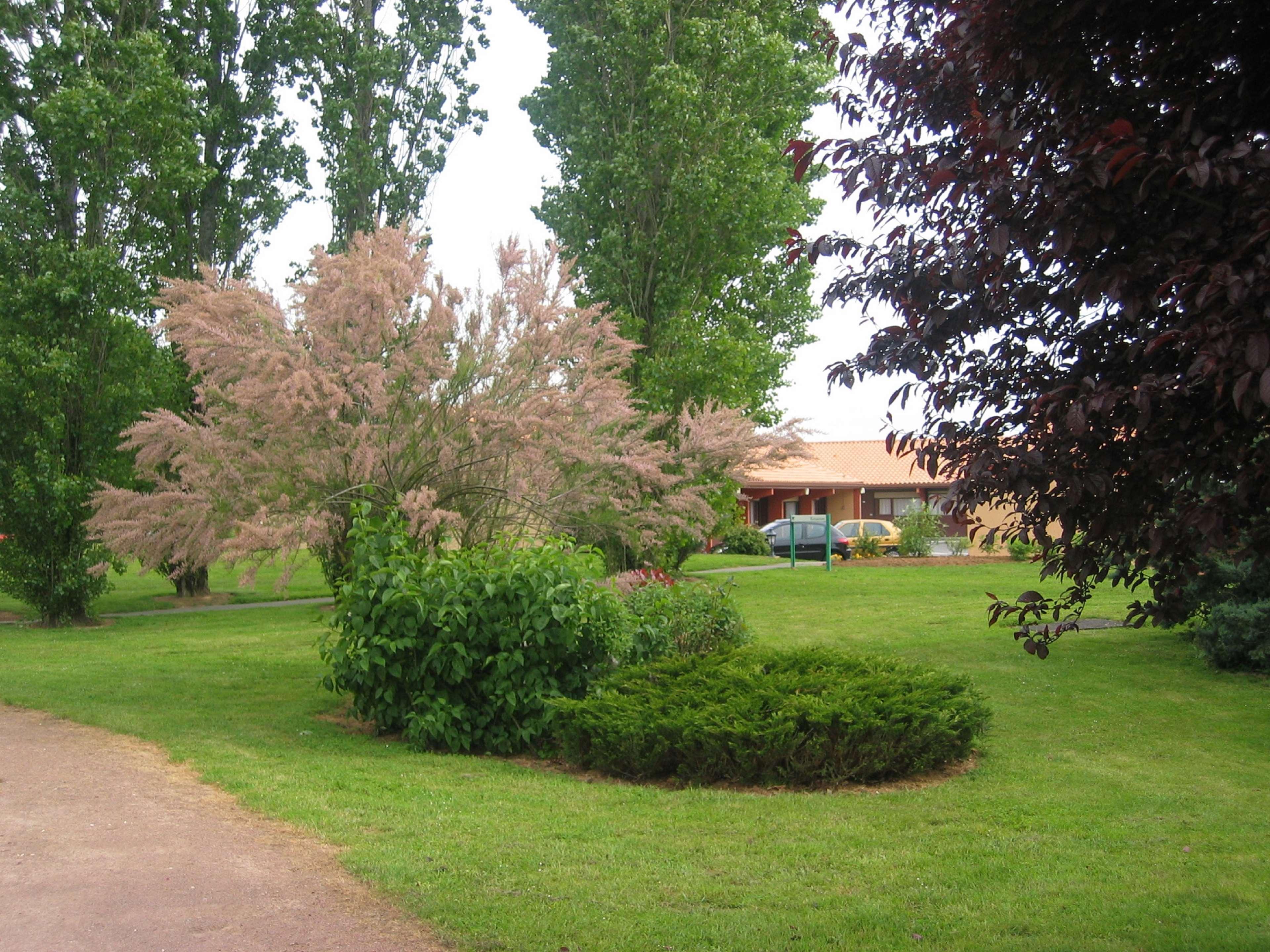 Kyriad Niort - La Crèche Kültér fotó